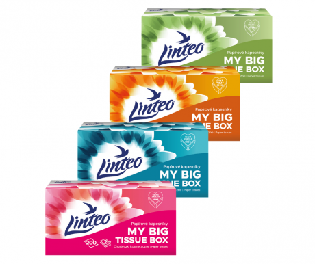 LINTEO kapesníky papírové box 2vrstvé bílé 200ks 195 x 195mm